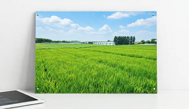 产品加工性能维护要点澄清与常见误区